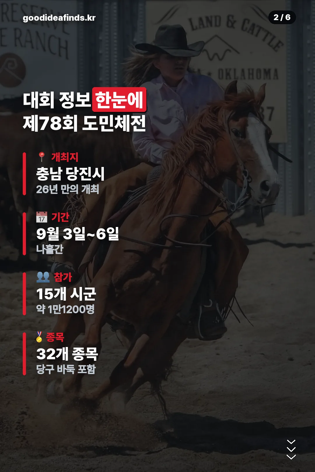대회 정보 한눈에