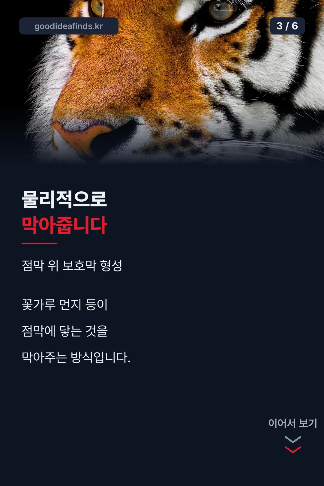 물리적 차단 원리