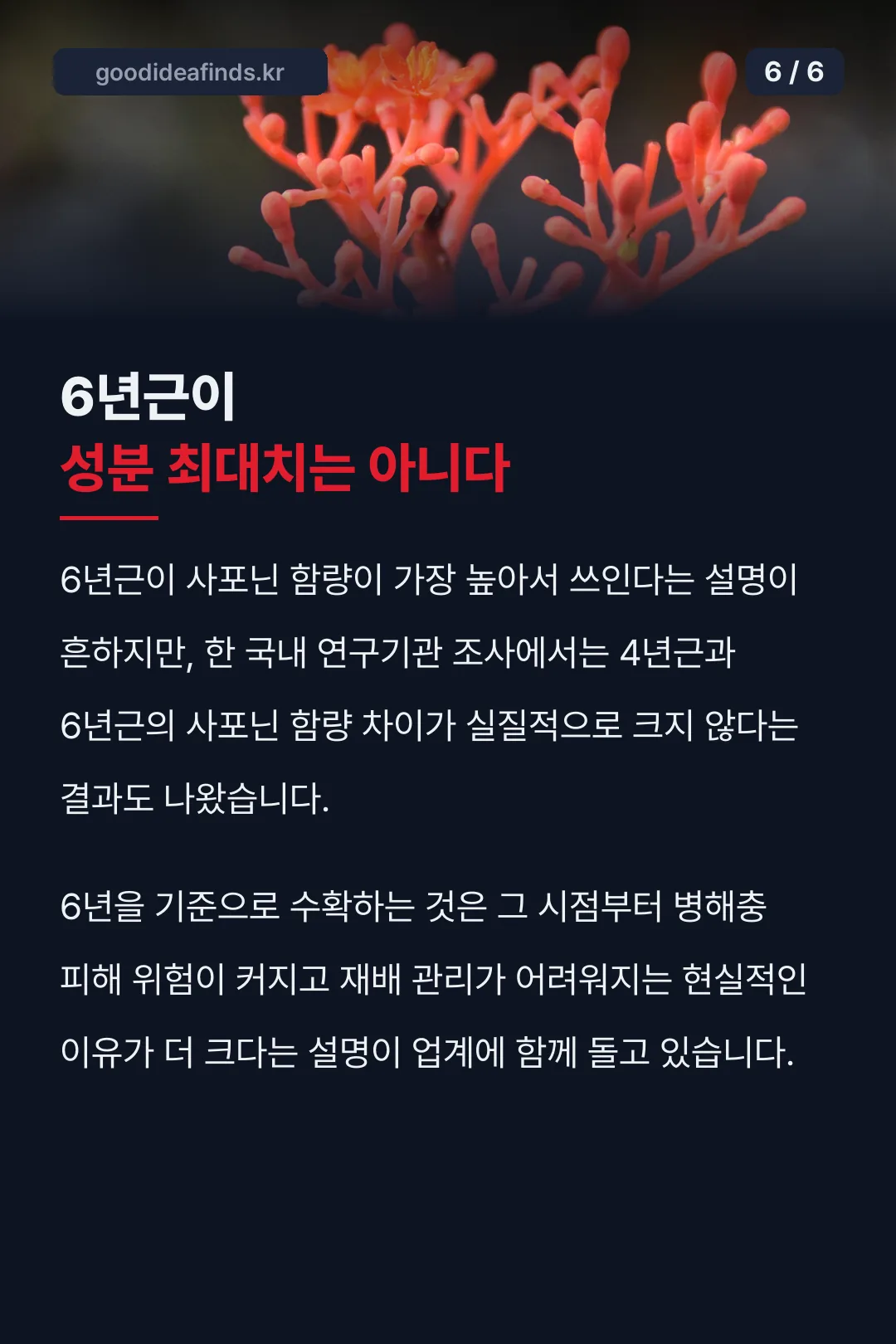 6년근에 대한 오해