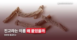 정관장 홍삼진고 성분표 — 진세노사이드·섭취량·기능성 범위