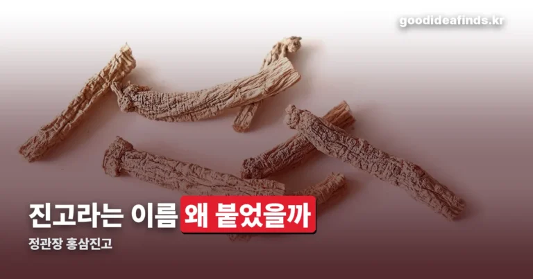 정관장 홍삼진고 정리 썸네일