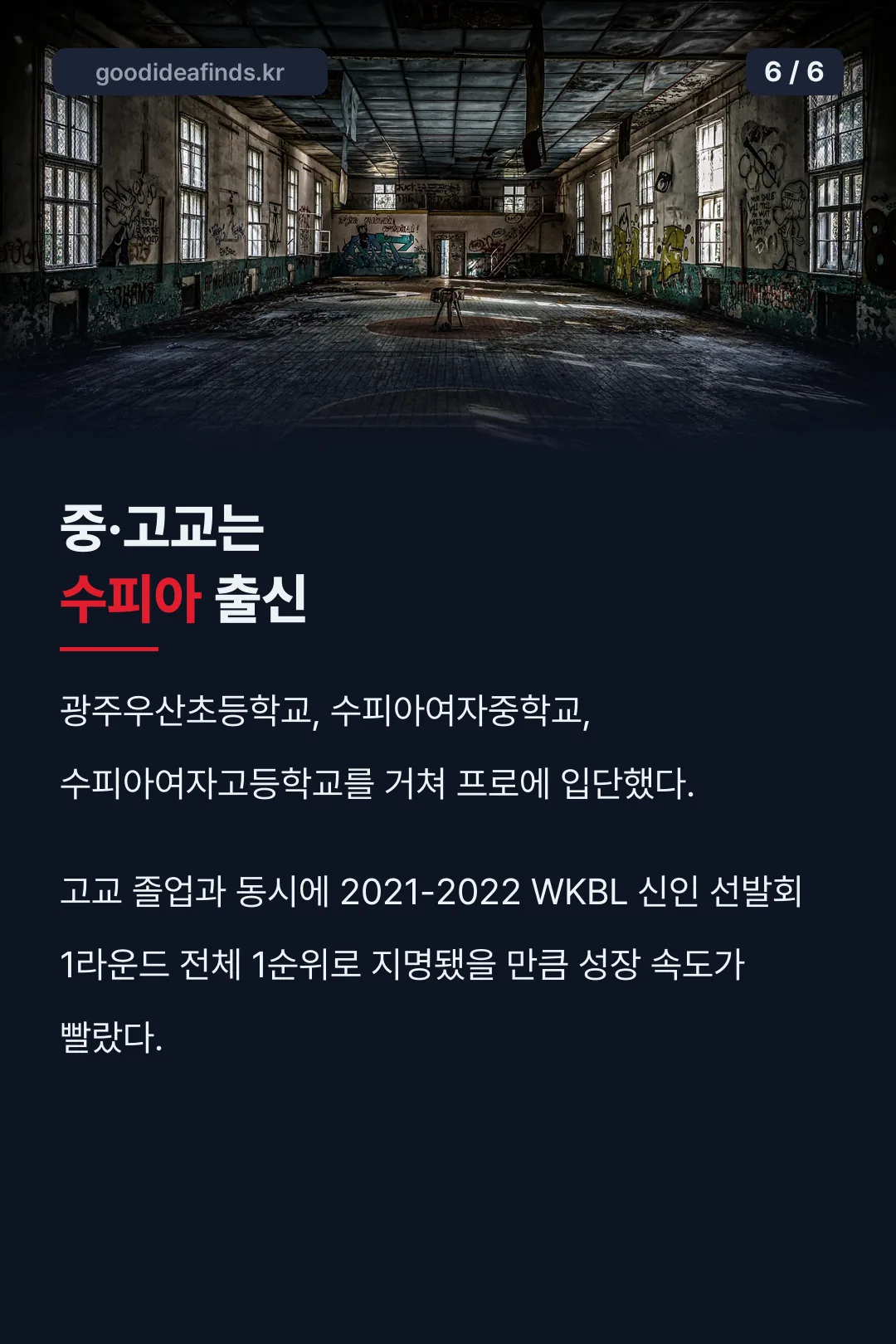 출신 학교