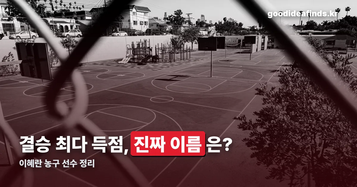 이혜란 농구 정리 썸네일