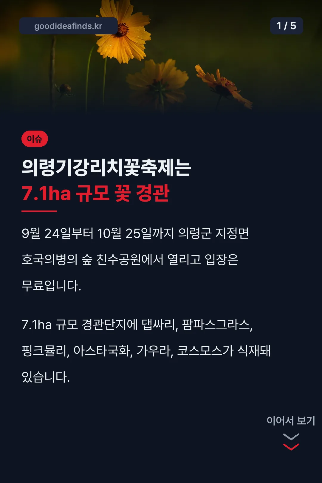 의령기강리치꽃축제 핵심 정리