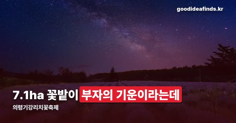 의령기강리치꽃축제 정리 썸네일