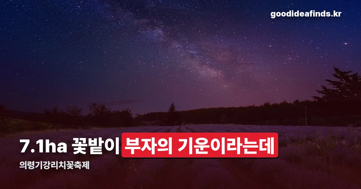의령기강리치꽃축제 정리 썸네일