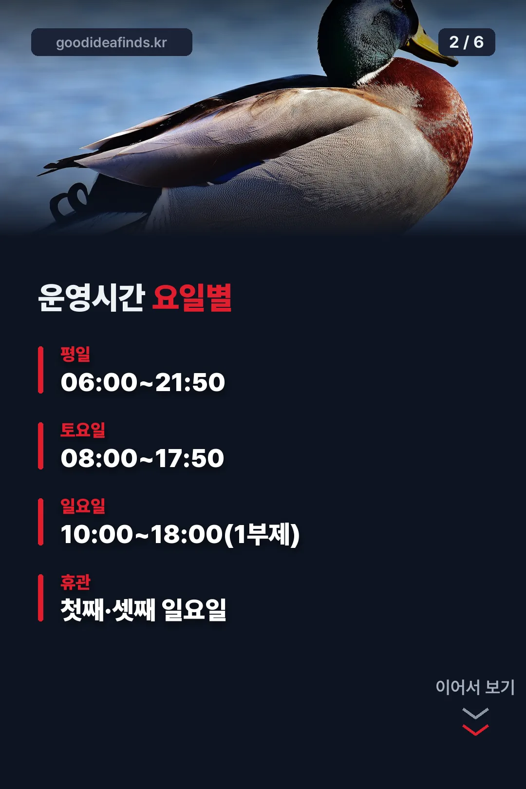 요일별 운영시간