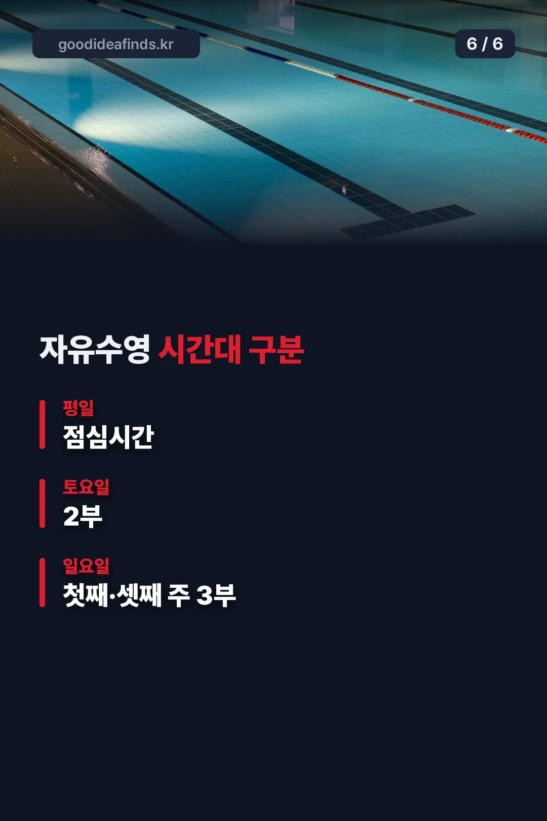 자유수영 시간대